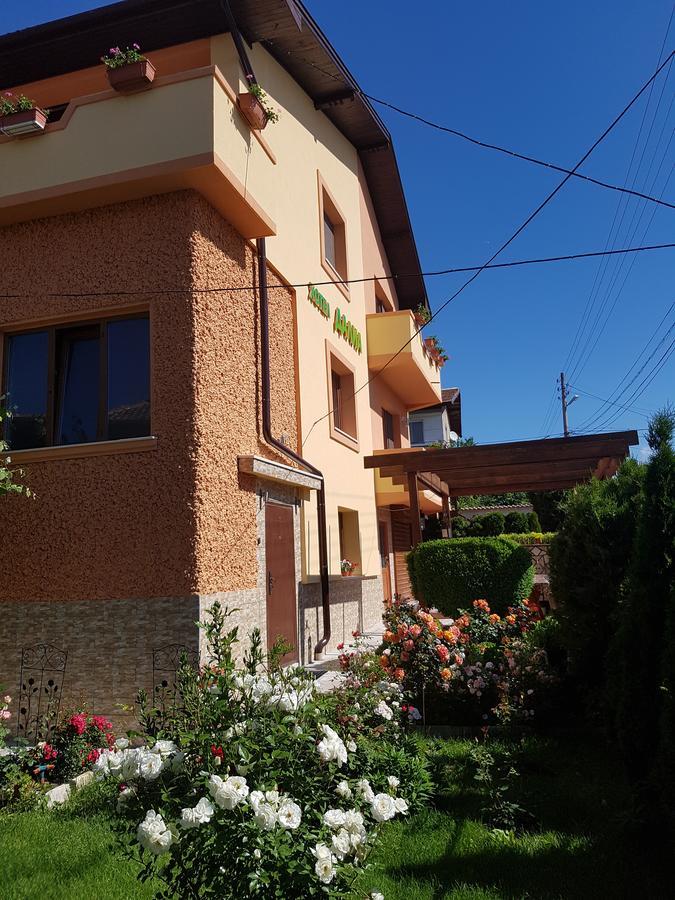 Family Hotel Dalia Velingrad Esterno foto